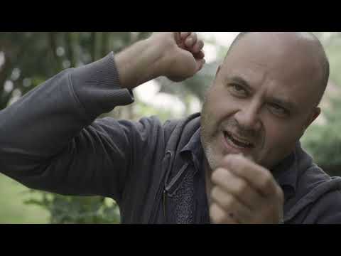 Roman plumbata EXPLAINED