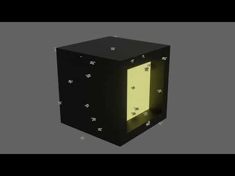 BLENDER: MOTHS ANIMATION