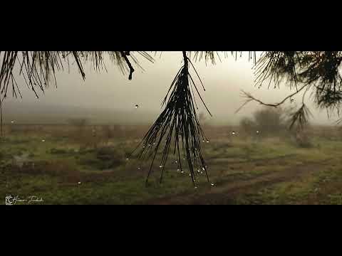 جبل الصخيرة تستور