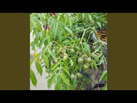 Rumah Bersih Hati Nyaman