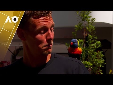 Tennis stars mix with the animals  | Australian Open 2017