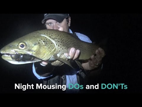Trout: Dos and Dont's of Fishing With Mouse Flies