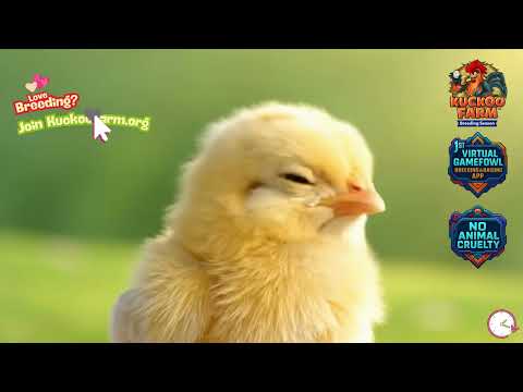KuckooFarm Breeding Sim