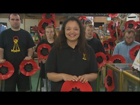 Meet the Kāpiti project ‘empowering’ differently-abled Kiwis