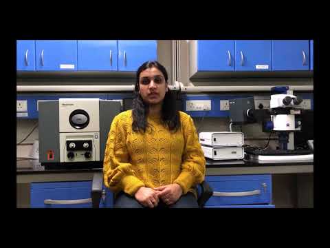 Stem Cell Niche Employs A Rheostat To Control Insulin Signaling