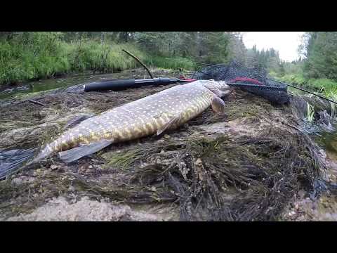 Hauen kalastusta joella