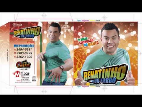 Tou No Swingão - Renatinho do Forró Swingar