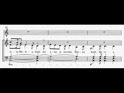 Urmas Sisask - Ave Maria (Heliseb väljadel) - Hassler Énekegyüttes