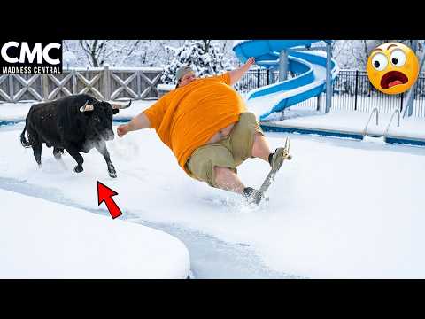 Try Not To Laugh 🤣 Top 100 Funniest Videos Ever 😂 | Funny Videos Compilation 2026 #108