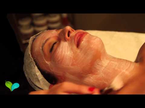Santa Monica Spa Day | Alchemie Spa | Live Love Spa