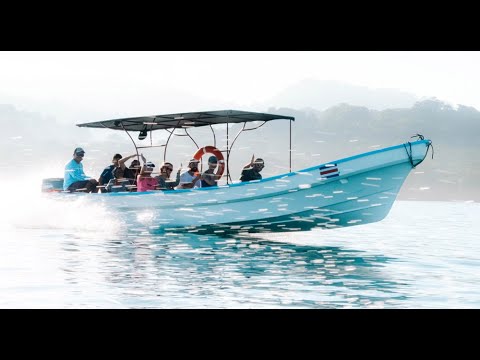 A week in Costa Rica with Surf Expedition | December 5 - 11, 2021