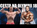 ALEŠOVA CESTA NA OLYMPII 18 - Jsem blázen když chci porazit Bumsteada