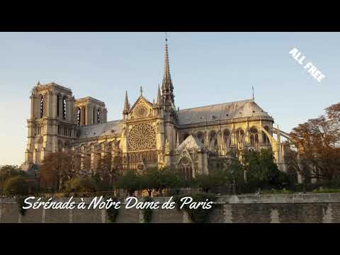Sérénade à Notre Dame de Paris - ♫ No Copyright Music