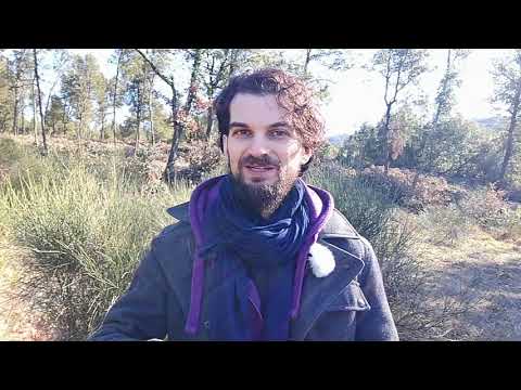 L'esperienza del "Silenzio Interiore" e la follia della mente - Niccolò Angeli