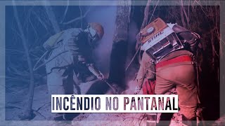 Miniatura do vídeo