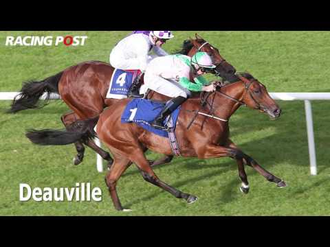 Investec Derby 2016: Coolmore runners