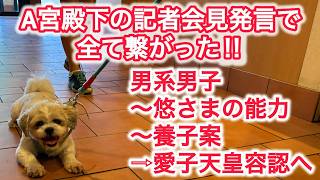 A宮殿下の記者会見発言で全て繋がった !! 男系男子~悠仁さまの能力~養子案~愛子天皇容認へ