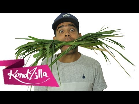 Wesley Safadão - Sonhei Que Tava Me Casando PARÓDIA