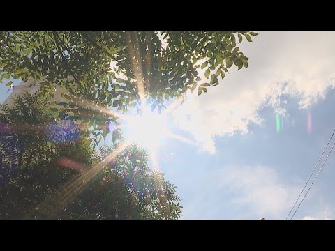 Прафсаюзы праводзяць маніторынг працоўных месцаў видео