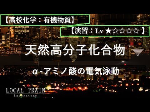 物理学科 【高校化学：有機】アミノ酸の電気泳動【演習】