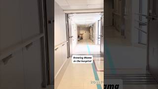 Drawing Mama at The Hospital: Silverpoint