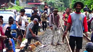 Download lagu ANJING PEMBURU SAMPAI KEWALAHAN Saat berburu babi hutan di Naras, Kota Pariaman | Wild Board Hunting mp3