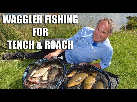 Waggler Fishing for Tench and Roach