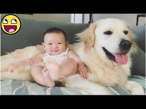 Adorable Dog Protects and Loves Baby with All Its Heart 💕