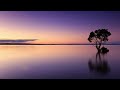 Daniel Kobialka - The Future Is Beautiful