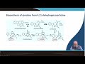 Comprehensive Overview of Indole Alkaloid Biosynthesis and Metabolic Engineering