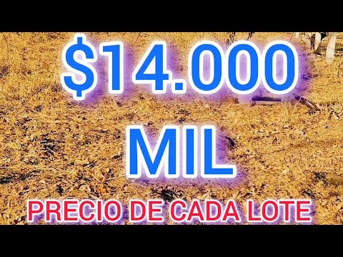 VENTA DE 7 LOTES EN COLONIA SANTA FE📍 El Paraíso, Chalatenango.PRECIO: $14.000 MIL CADA UNO.​