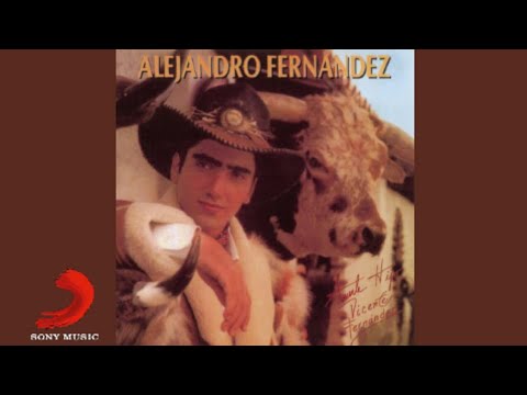 Alejandro Fernández - Cuando Yo Quería Ser Grande (Cover Audio)