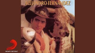 Alejandro Fernández - Cuando Yo Quería Ser Grande (Cover Audio)
