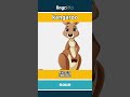 kangaroo - 袋鼠 video thumbnail