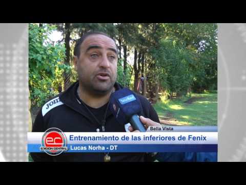Bella Vista: Entrenamiento de las inferiores de Fenix