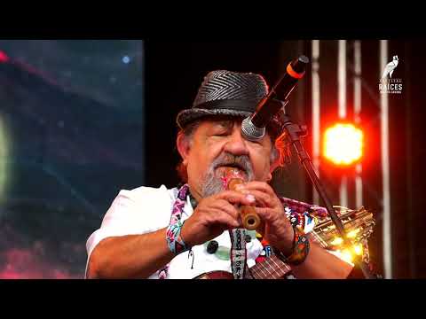 1. Puma Pungo - Altiplano de Chile