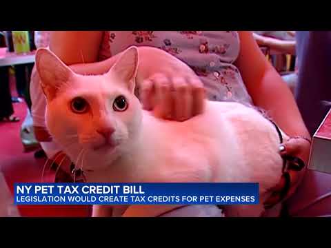 NY Pet Tax Credits: What You Need to Know