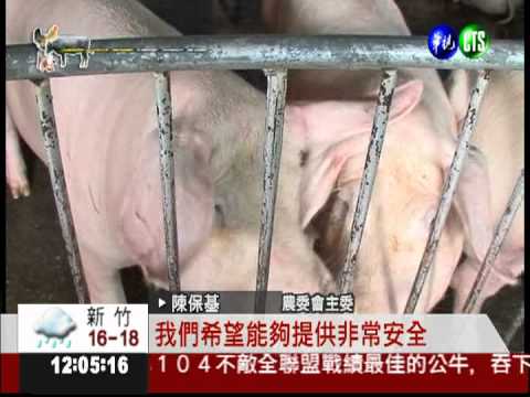 禁用瘦肉精! 豬農明起附切結書