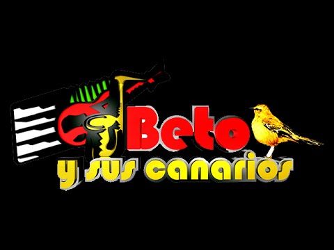 Beto Y Sus Canarios - Mix de Exitos