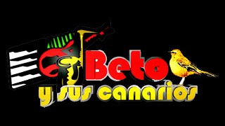 Beto Y Sus Canarios - Mix de Exitos