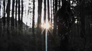 Noro - Brand New TBM