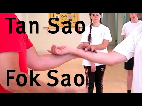 tan sao fok sao im wing chun