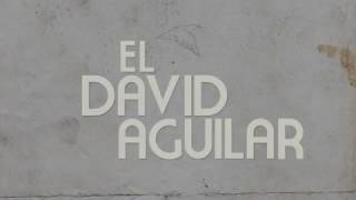 El David Aguilar - Aves de Agua