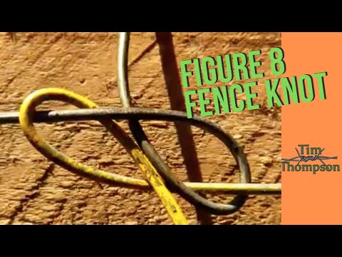 Fechtknoten 2 – Die Acht