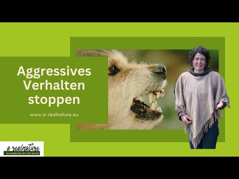 Aggressives Verhalten stoppen - Hund ist aggressiv - aggressiver Hund