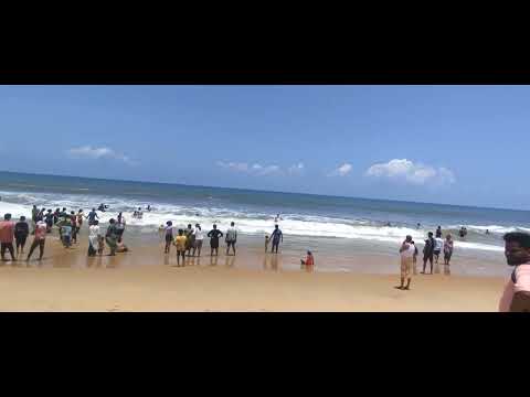 Eco beach ⛱️🏖️