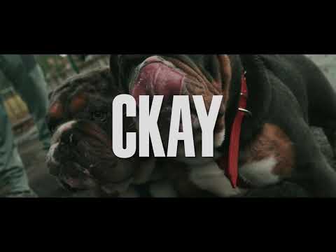 Shadz - Flow Overdose (featuring CKAY, Rover, JT)