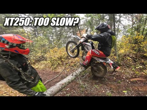 Can the XT250 keep up with REAL Dirt Bikes on a REGULAR Trail Ride? XT250 vs KTM 300 & 450