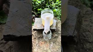 survival skills and how to filter dirty water #survival #camping #lifehacks #outdoors