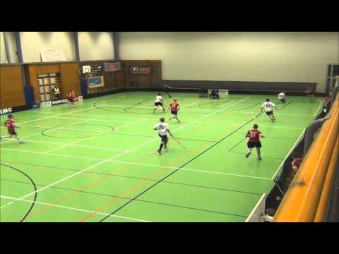 LNM - Blackbirds Maalikooste 21.02.2015